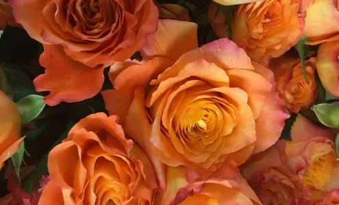 Bennett Floral business photo