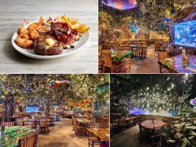 Rainforest Cafe, business photo 1