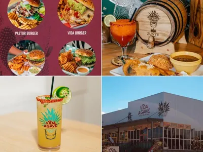 Vida Agave, business photo 1
